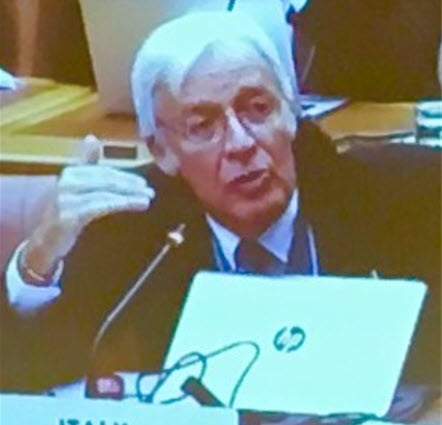 Photo of Maia Chankseliani, PhD